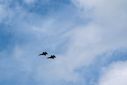 Filename=2018-05-16_Virginia_Beach_and_Lighthouse-1.jpg
Filesize=187KiB
Dimensions=2047x1365
Date added=Jun 25, 2018 2018-05-16_Virginia_Beach_and_Lighthouse-1.jpg