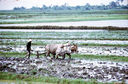 Filename=71917-HRL-G-011.jpg
Filesize=102KiB
Dimensions=800x525
Date added=Dec 14, 2012 71917-HRL-G-011.jpg