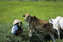 Filename=71917-HRL-G-012.jpg
Filesize=97KiB
Dimensions=800x537
Date added=Dec 14, 2012 71917-HRL-G-012.jpg