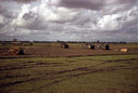 Filename=71917-HRSL-D-034.jpg
Filesize=59KiB
Dimensions=800x540
Date added=Dec 14, 2012 71917-HRSL-D-034.jpg