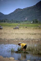 Filename=71917-HRSL-K-011.jpg
Filesize=48KiB
Dimensions=537x800
Date added=Dec 14, 2012 71917-HRSL-K-011.jpg