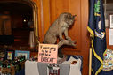 Filename=Bobcat_Reunion_Cleveland_2012-3523.jpg
Filesize=57KiB
Dimensions=700x467
Date added=May 28, 2012 Bobcat_Reunion_Cleveland_2012-3523.jpg